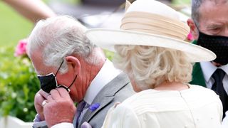 Prince Charles and Duchess Camilla struggle with their face masks