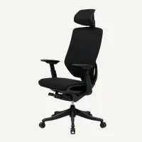 FlexiSpot BS12 Pro | was £429 now £369 at FlexiSpot