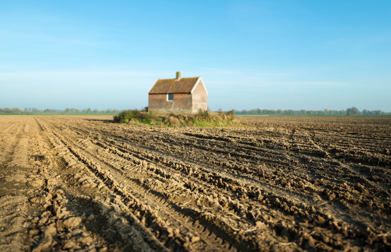 Take good care of the Earth beneath you as it may be worth something some day.