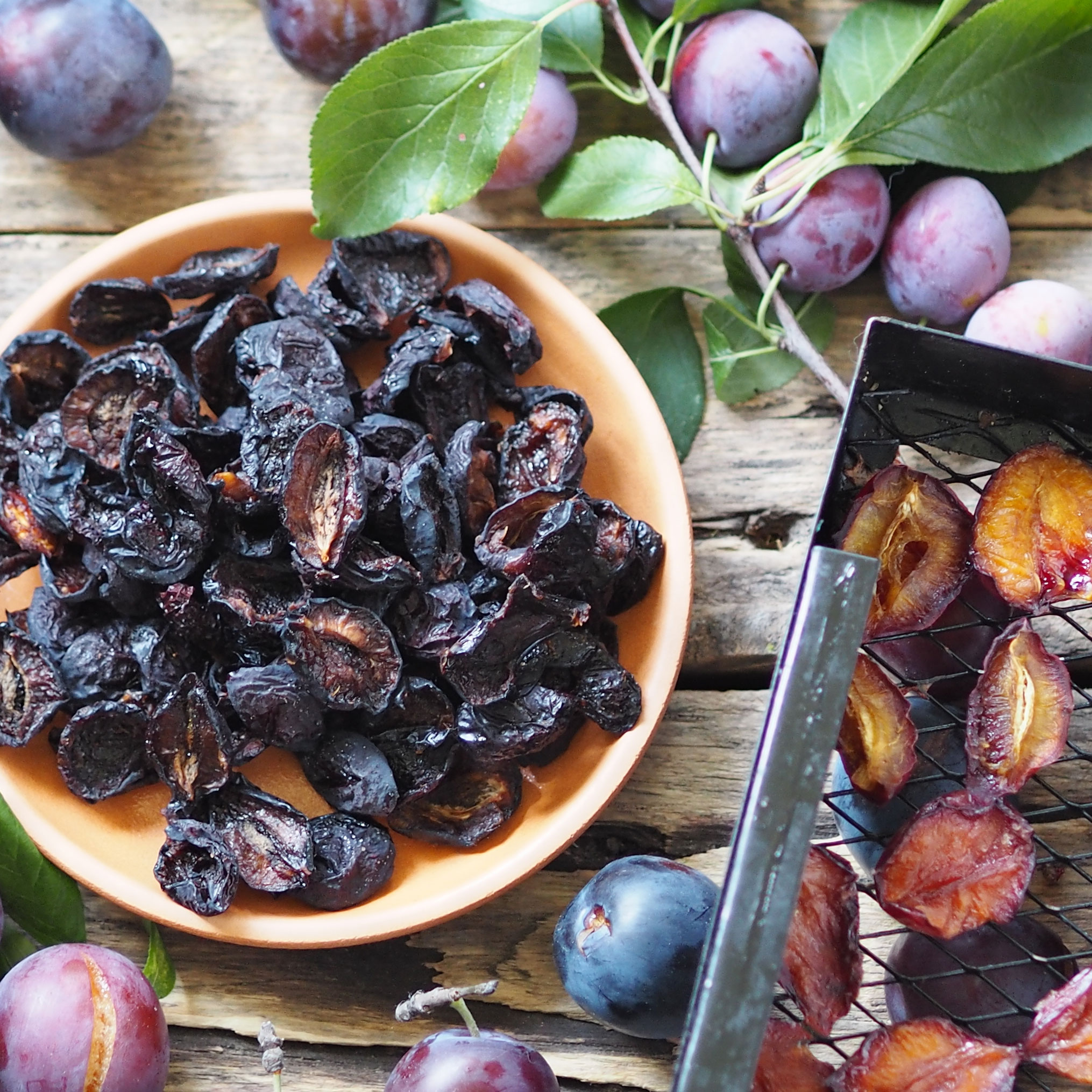plums as fruits and dried preserves 