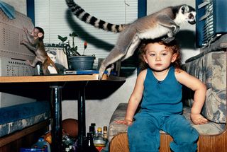 A child sitting on a bench next to a table with a Lemur jumping over her head.