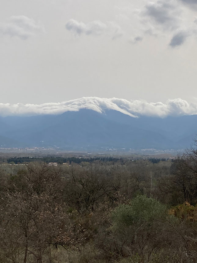 Domaine Danjou-Banessy