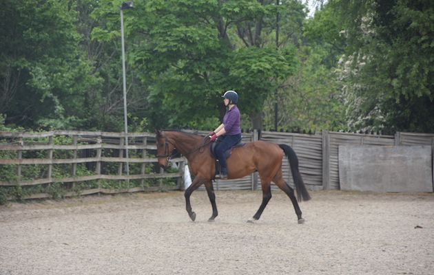 Pic 5 - Libby and Barney