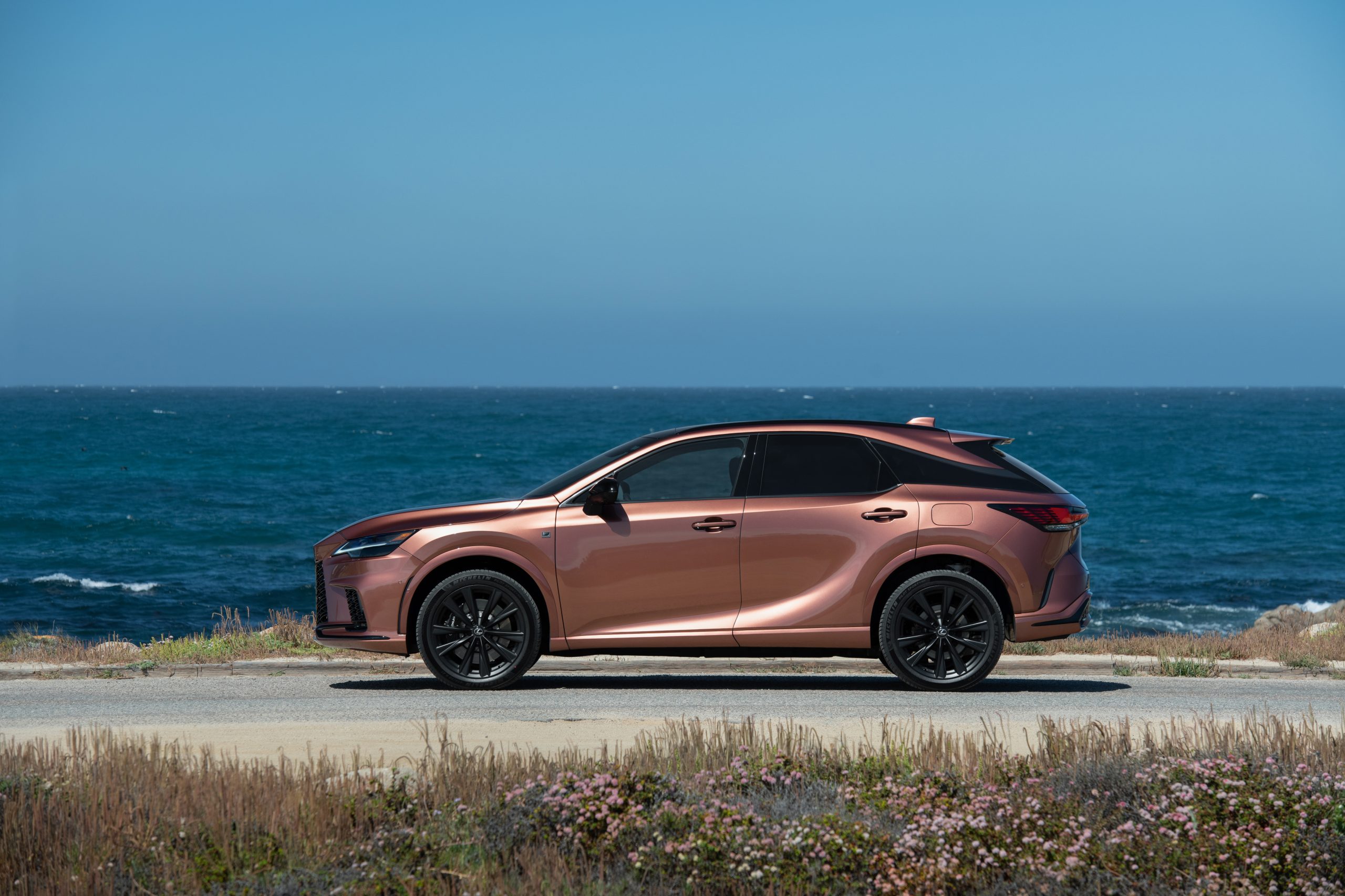 Images of the Lexus RX500H F Sport Performance