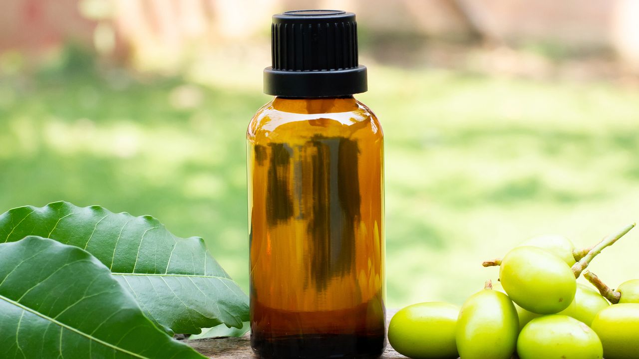 Bottle of neem oil beside leaves and berries