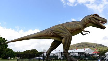 A model of a tyrannosaurus rex