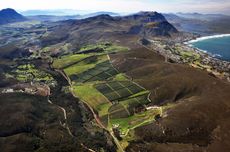 Hamilton Russell Vineyards