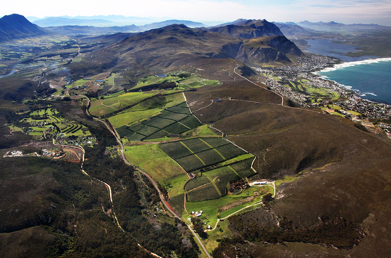 Hamilton Russell Vineyards