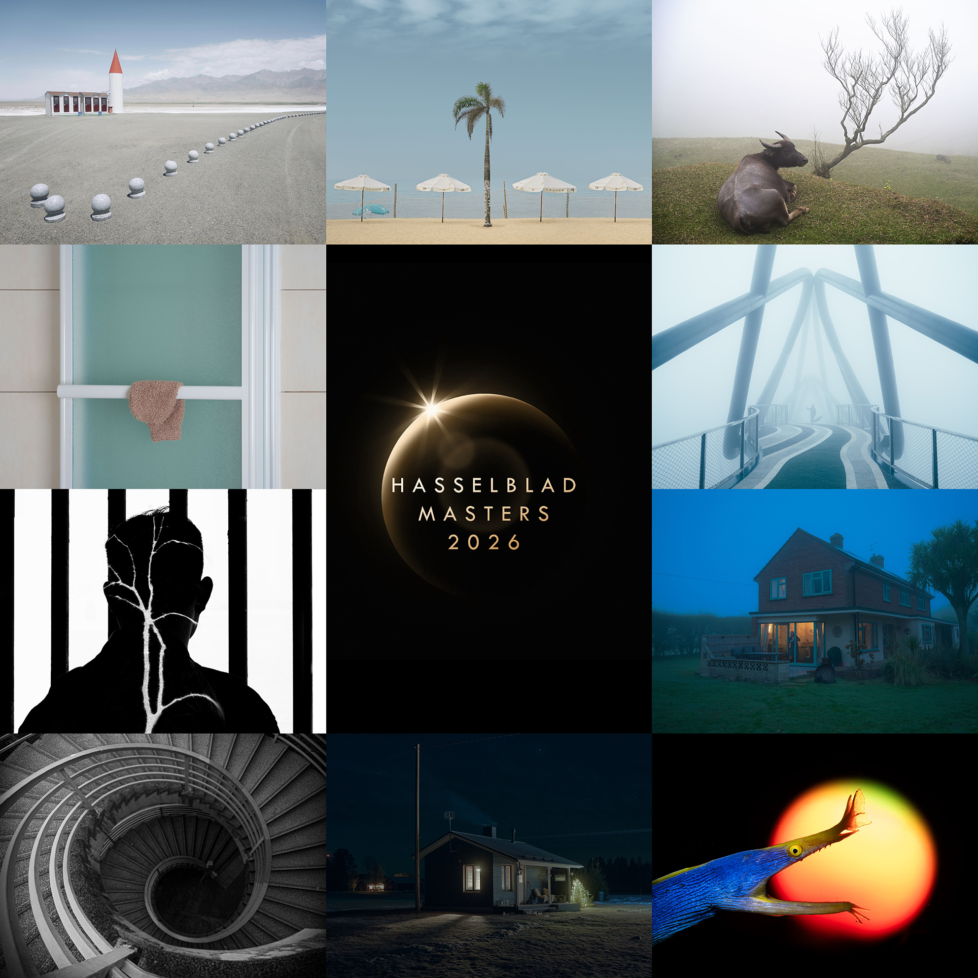 A collage of diverse photos: a desolate building in a desert, serene beach umbrellas by a palm tree, a buffalo resting by a foggy tree and more with "Hasselblad Masters 2026" text