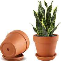 2 Pack Large 8-Inch Terracotta Pots with Saucer