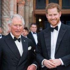 rince Charles, Prince of Wales and Prince Harry, Duke of Sussex attend the "Our Planet" global premiere at Natural History Museum