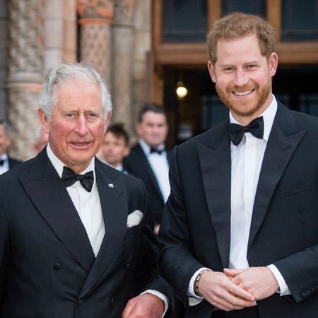 rince Charles, Prince of Wales and Prince Harry, Duke of Sussex attend the "Our Planet" global premiere at Natural History Museum