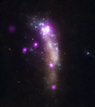 A composite image of the supernova SN 2010jl within its galaxy shows X-ray observations from the Chandra X-ray Observatory (in purple) and optical data from the Hubble Space Telescope. SN 2010jl appears as the bright purple spot at the top of the galaxy.