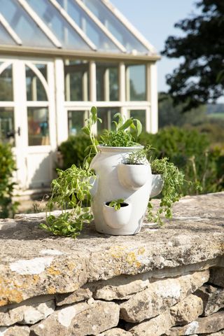 container gardening ideas: herb pot from Gardenesque