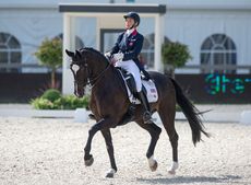 CHIO_ROTTERDAM_2014_DR_CDI3_GBR_ROSS-DAVIES-2362.jpg
