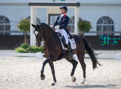 CHIO_ROTTERDAM_2014_DR_CDI3_GBR_ROSS-DAVIES-2362.jpg