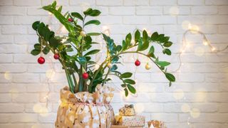 picture of houseplant decorated with lights and baubles