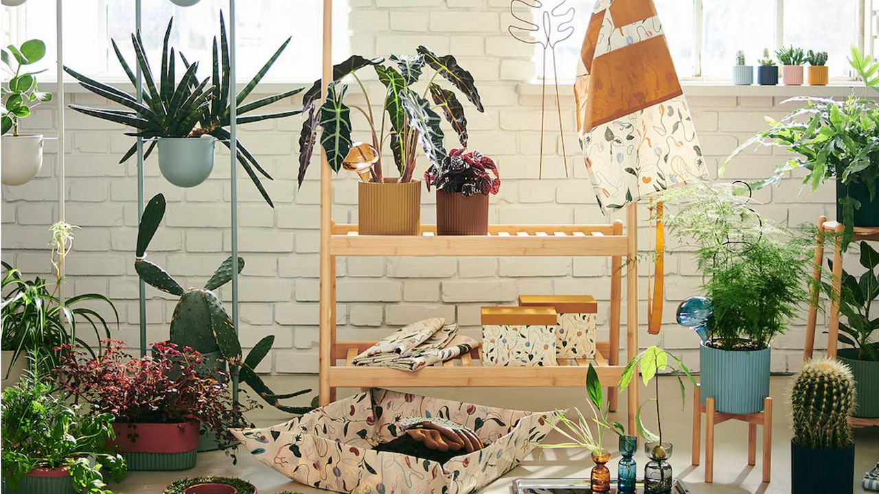 The IKEA DAKSJUS collection is a new range for indoor plants | Homes ...