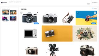 A screenshot of the Adobe Stock Customize tool