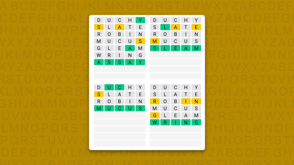 Quordle answers for game 1736 on a yellow background