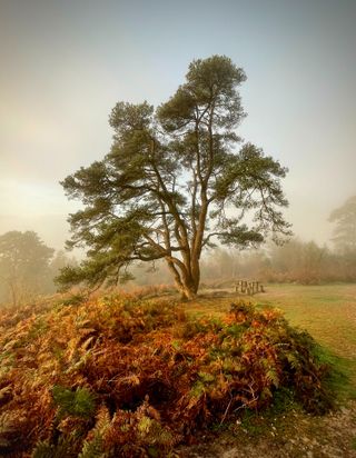 Landscape Photographer of the Year 2022 unseen images