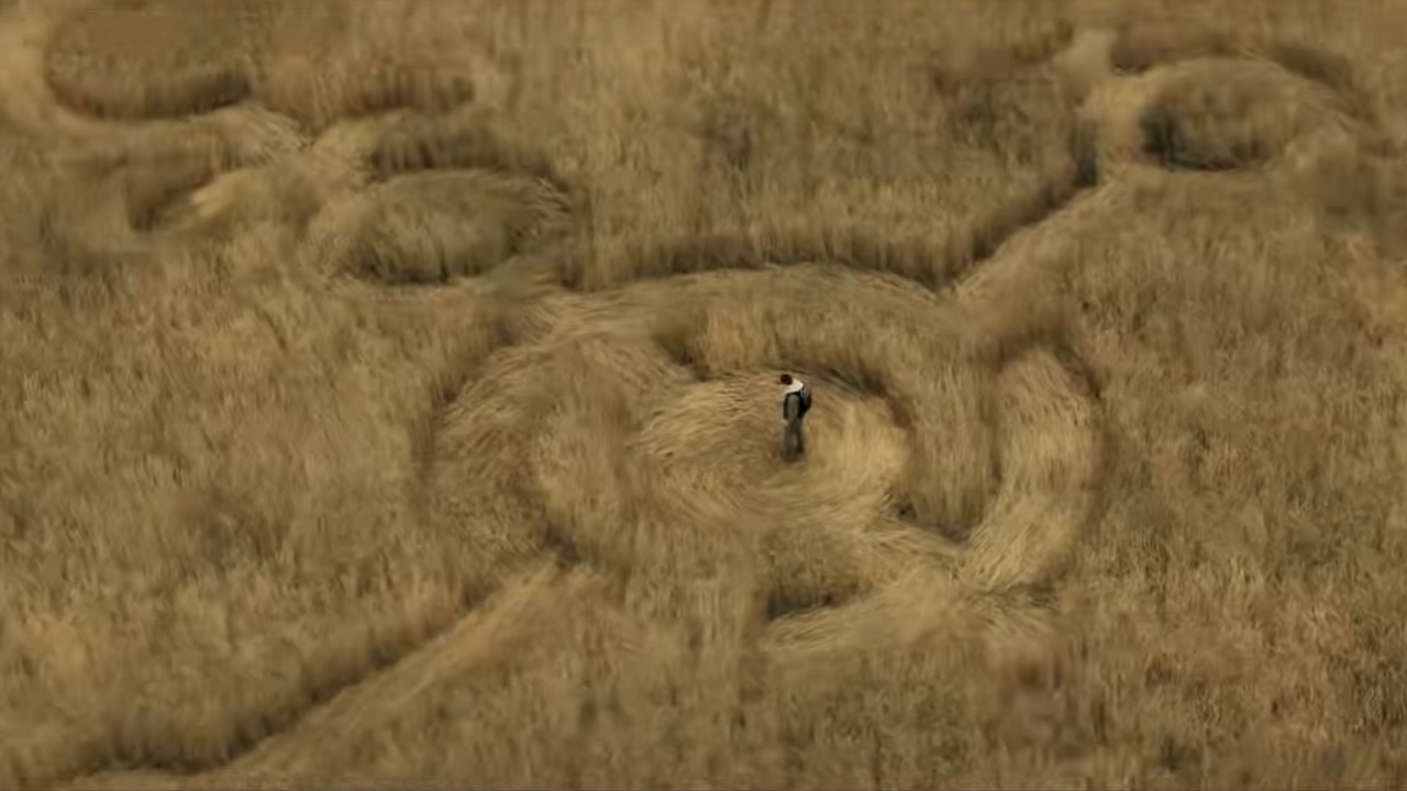 Person standing in large crop circle in field in Disclosure Day