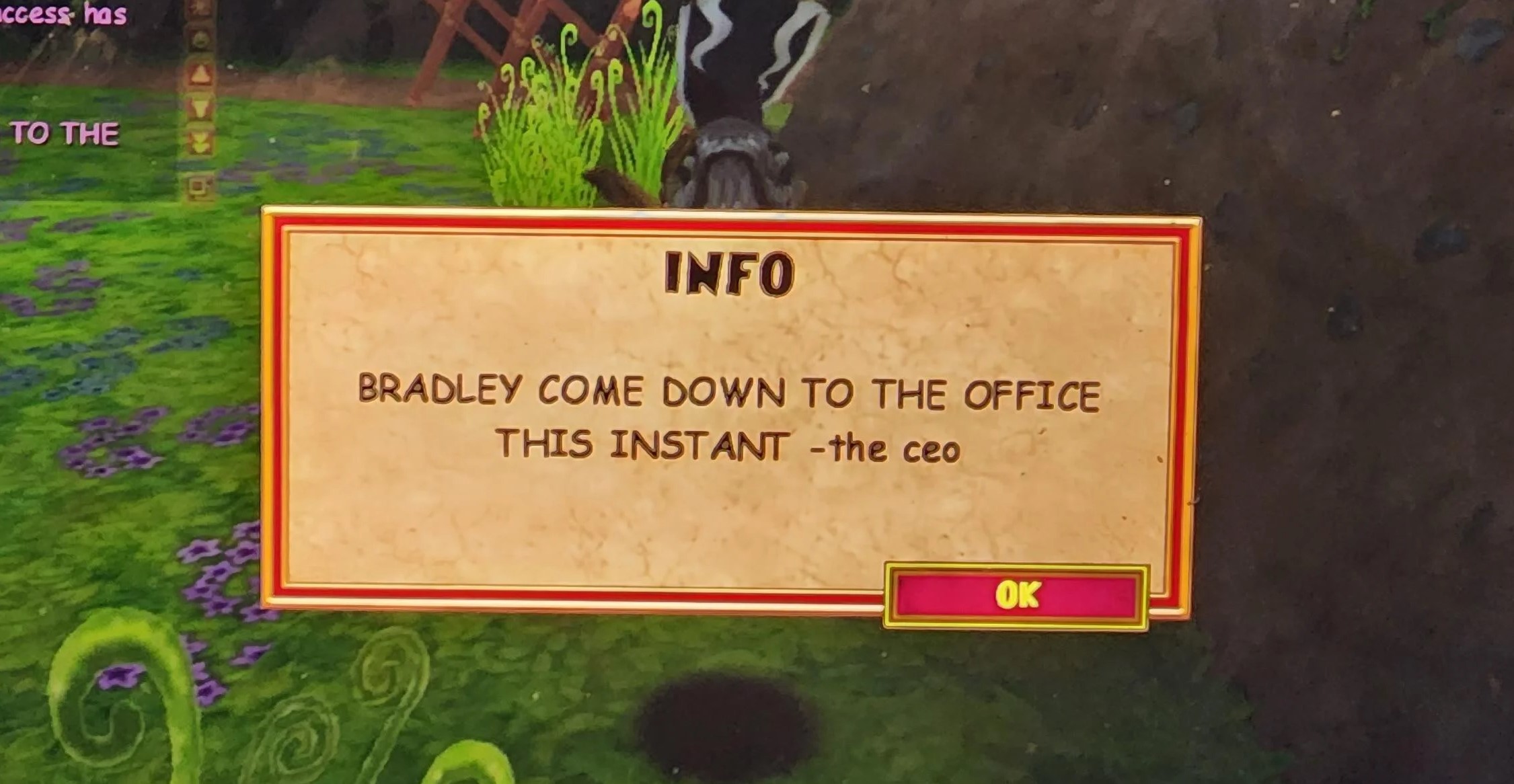 In-game message in Wizard101 reading 