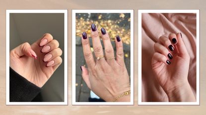 On the left, a close up of Digital Beauty Writer, Sennen Prickett&#039;s burgundy French tip nails, in the middle, a close-up of Digital Beauty Editor, Aleesha Badkar&#039;s dark burgundy nails and on the left, Digital Beauty Writer, Naomi Jamieson&#039;s short plum nails/ in a cream to grey sunset-style template