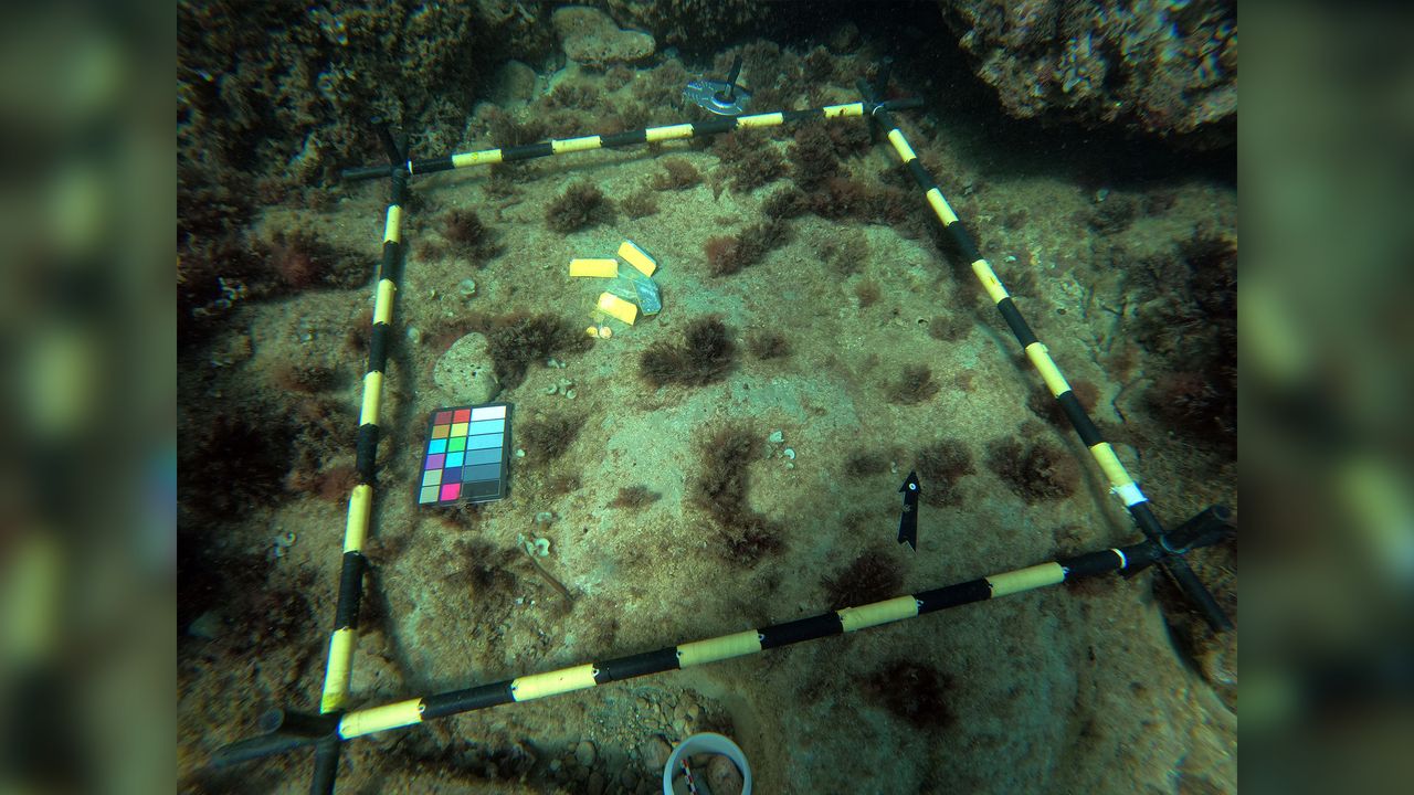 So far, divers have found 53 gold coins in the buried hoard.