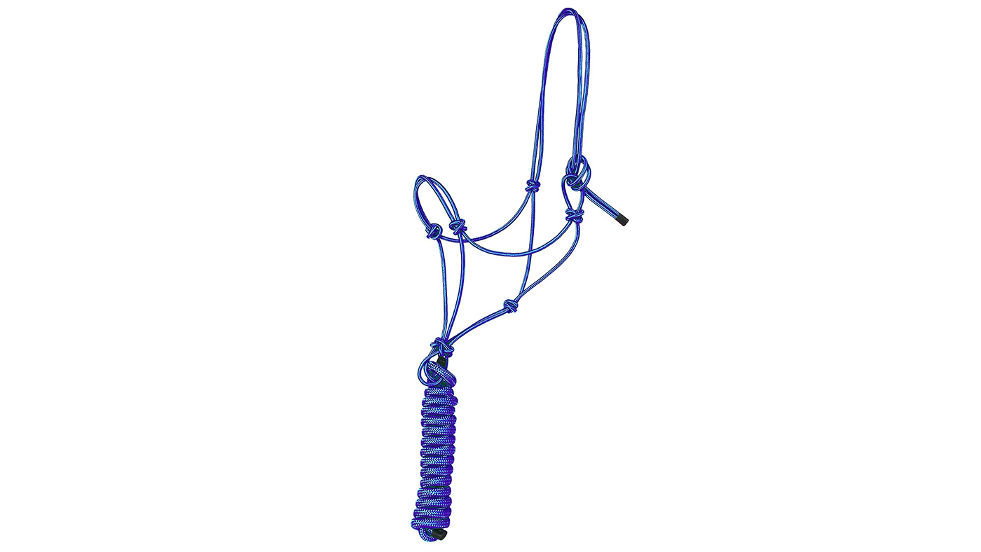 Majestic Ally &amp;frac14;in Training Halter