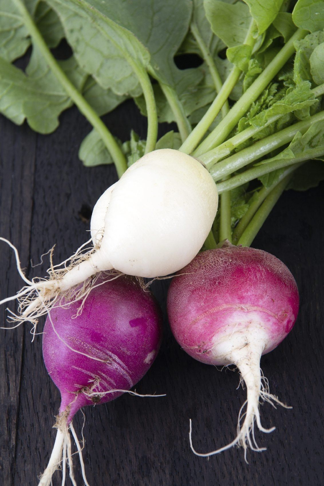 Purple And White Radishes