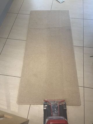 Cleaning a rug