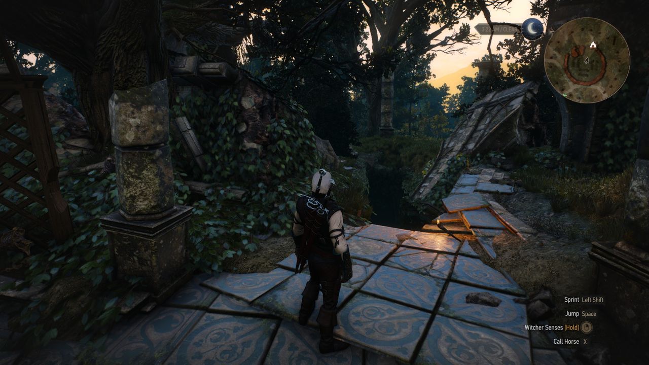 the witcher 3 feline silver sword