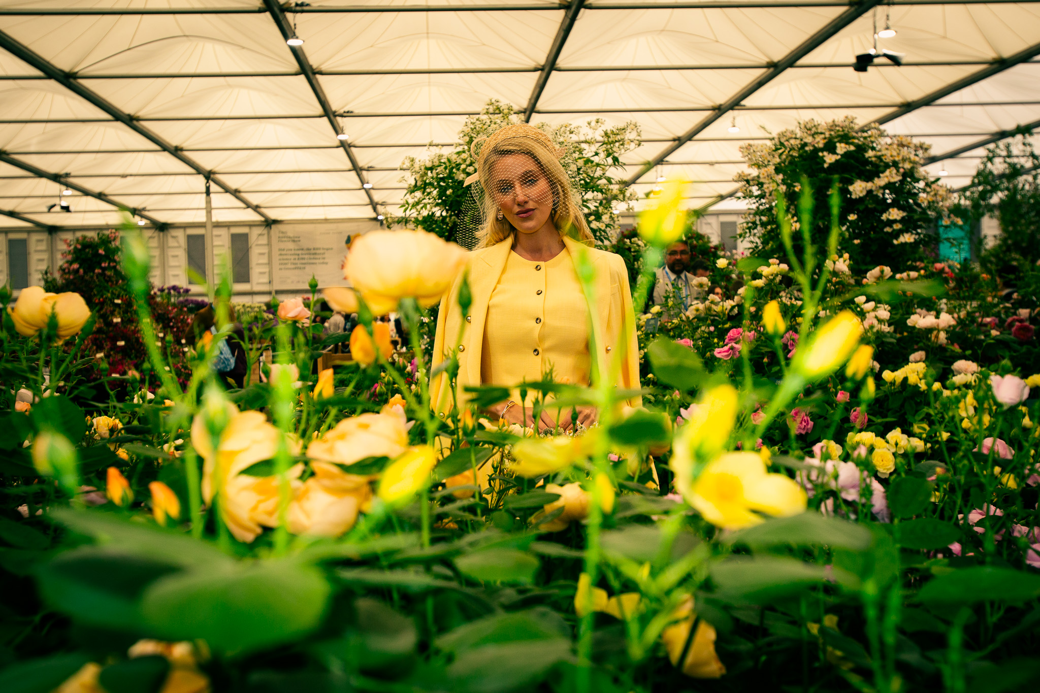 RHS Chelsea Flower Show 2026