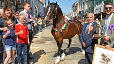 Ionos Elwyn handled by Daniel Hughes, his mother Sarah Hughes and children are presented with the supreme champion prize at the 2026 Barley Saturday.