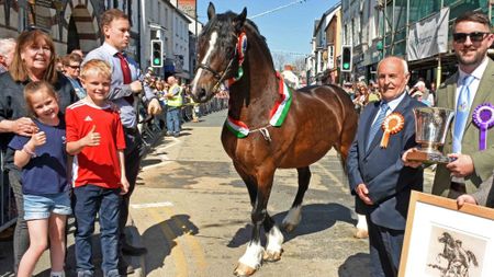 Ionos Elwyn handled by Daniel Hughes, his mother Sarah Hughes and children are presented with the supreme champion prize at the 2026 Barley Saturday.