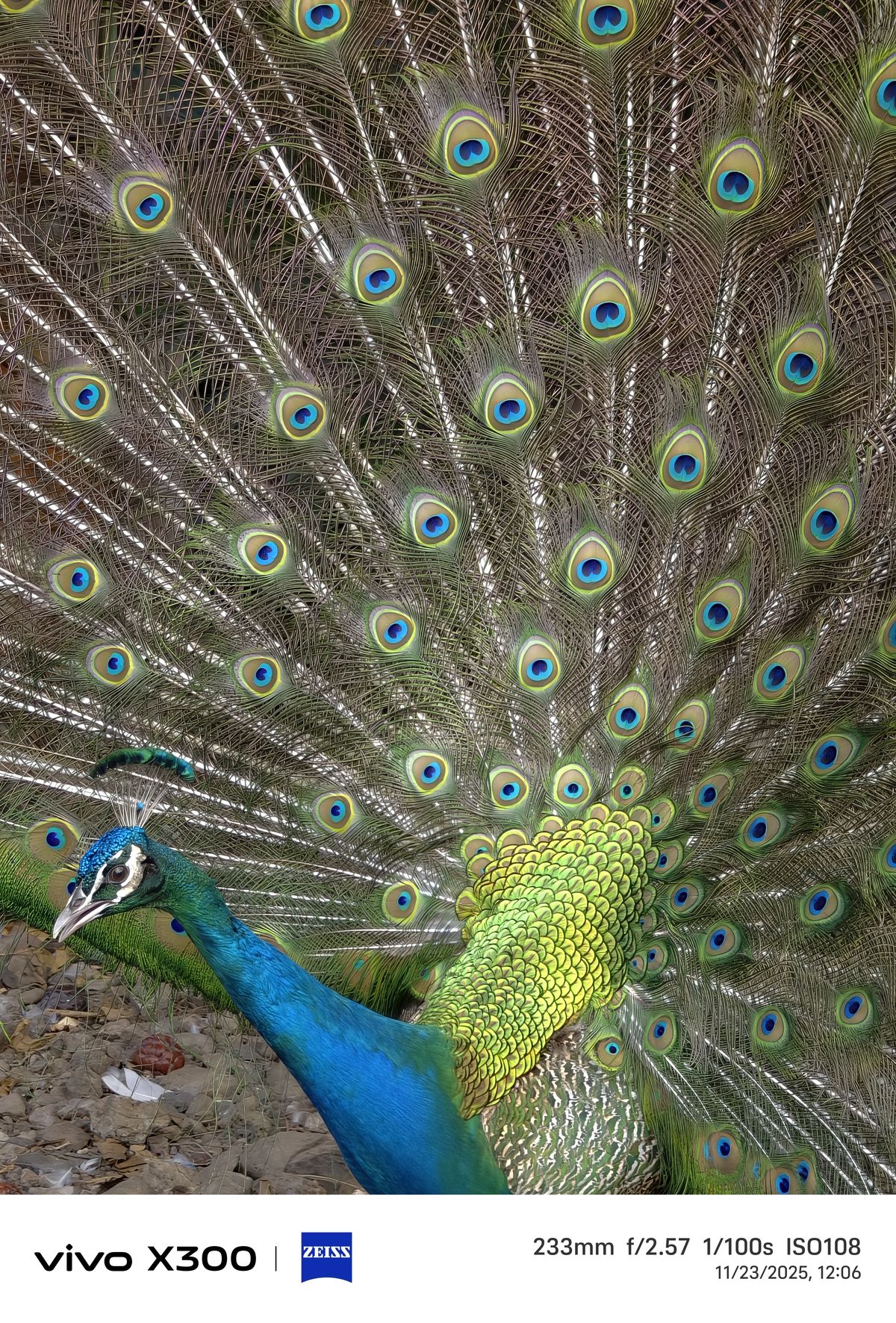 Shot on Vivo X300