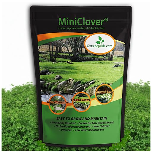 Outsidepride Perennial White Miniclover Seed - 1 Lb. Dwarf, Small-Leaved, Drought &amp;amp; Wear-Tolerant Micro Clover Seeds for Lawn, Ideal Low-Maintenance &amp;amp; Easy to Grow Ground Cover Seeds for Home Yard