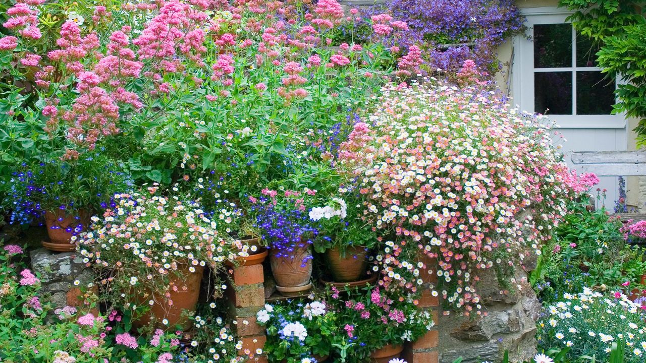 Flower pots in a tiered container garden