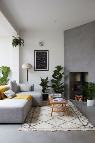 Grey living room with grey corner sofa, houseplants and yellow throw