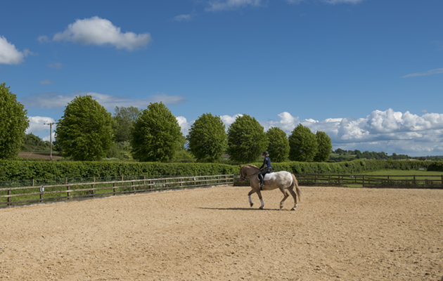 Upper Rushmire Farm-055