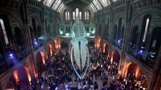 LONDON, UNITED KINGDOM - JULY 13: Guests mingle below a blue whale skeleton named Hope during the reopening of Hintze Hall at the Natural History Museum on July 13, 2017 in London, England..