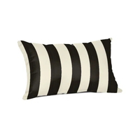 Sol 72 Striped Sunbrella Throw Pillow: was $30 now $25 @ Wayfair