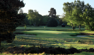 Walton Heath Old Course par-3 pictured