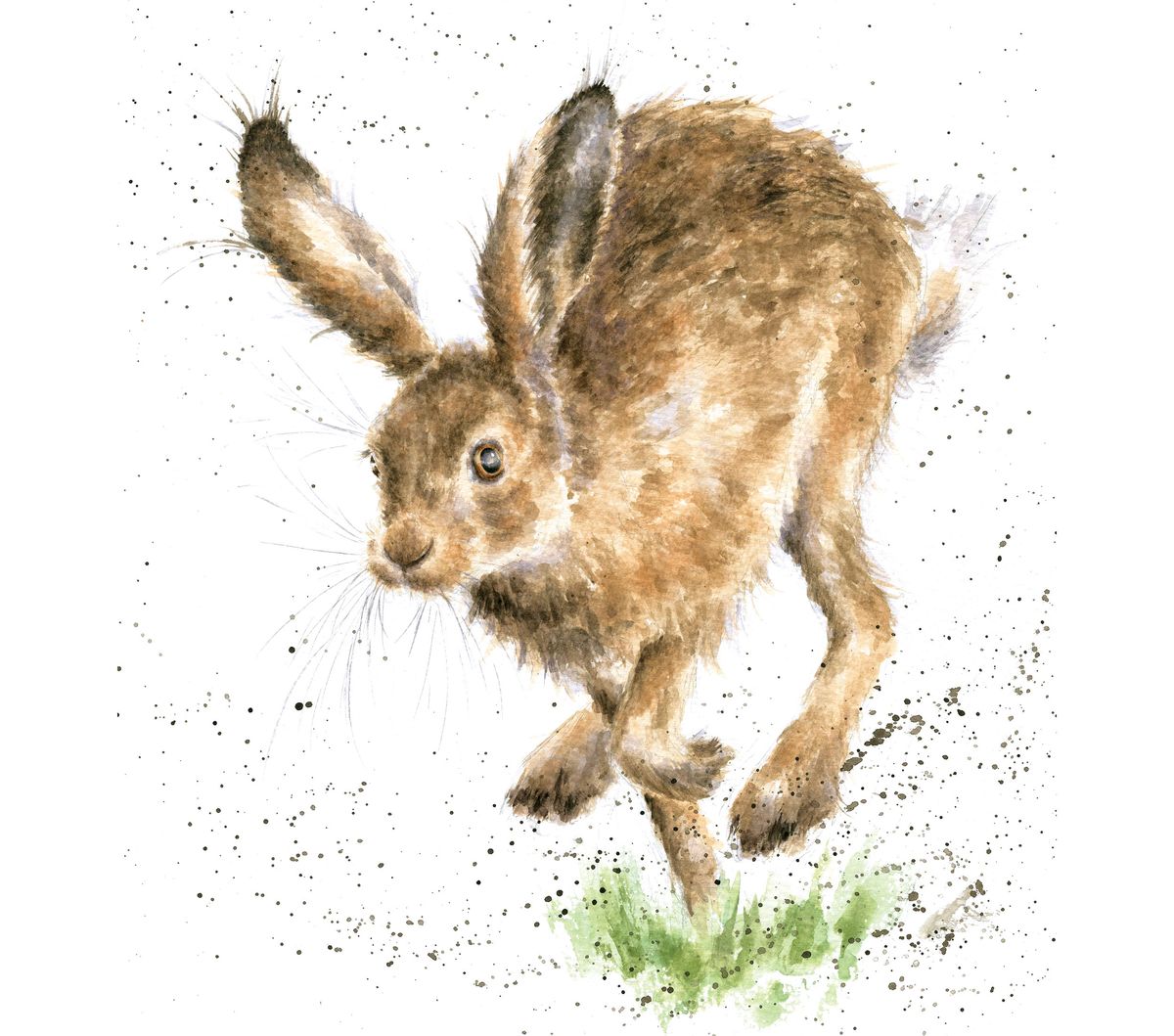 Paint a mischievous hare in watercolour | Creative Bloq