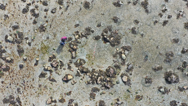 'Ultimate adventure story': Submerged stone circles reveal perilous migration of prehistoric people to far northern Scotland 11,000 years ago