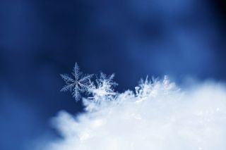 Snowflakes close-up and sun. Macro photo. The concept of winter, cold, beauty of nature. Copy space.