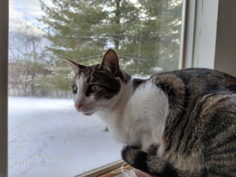 ZTE Axon 10 Pro sample photo