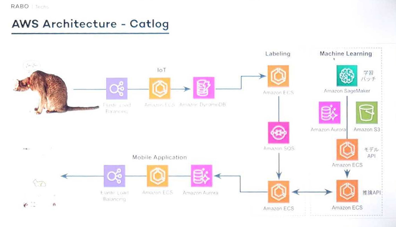 Catlog AI-powered smart collar