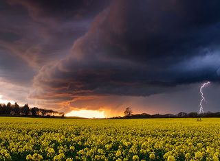 Evening Storm over Ashey, Isle of Wight, England